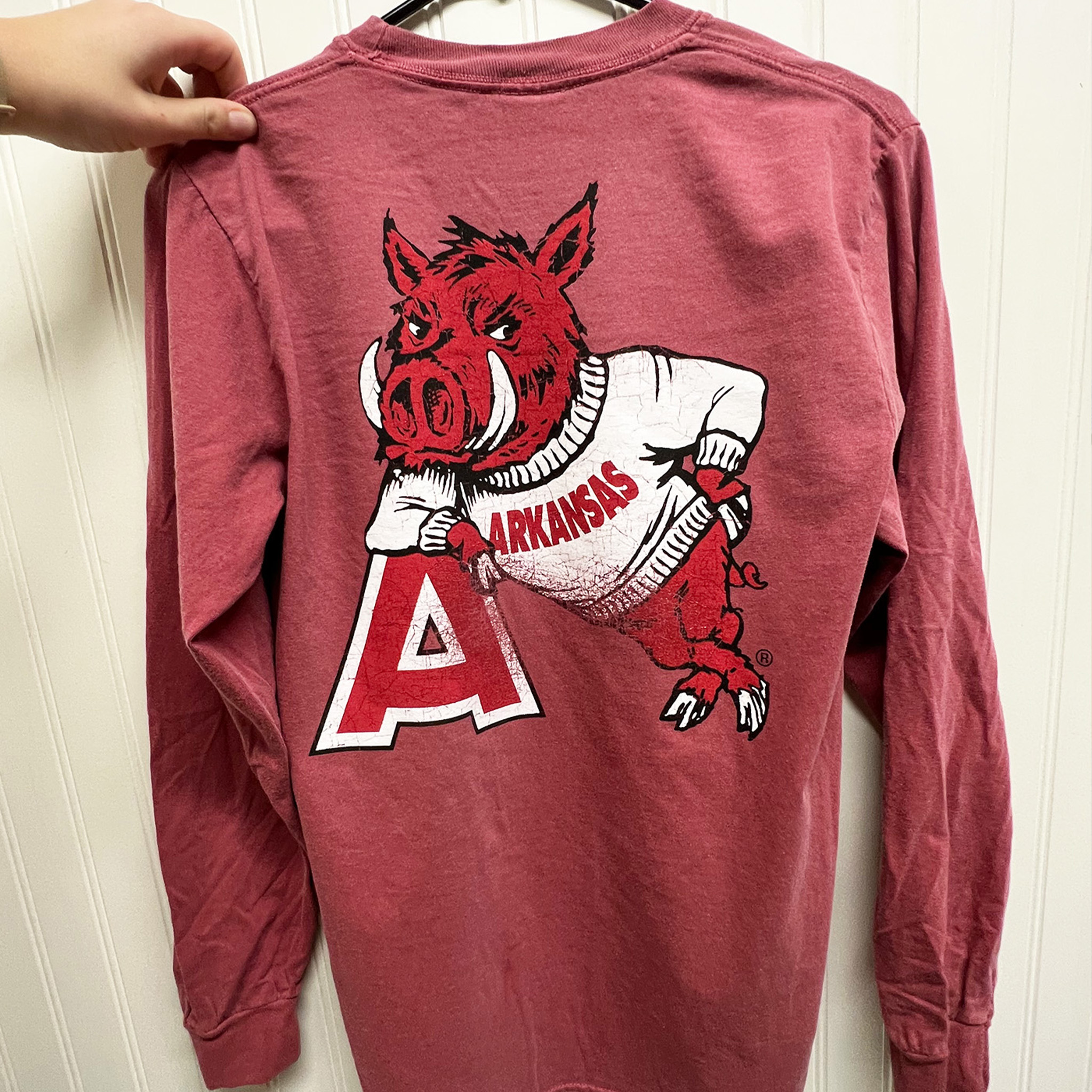 Hog Leaning on 'A' Long Sleeve