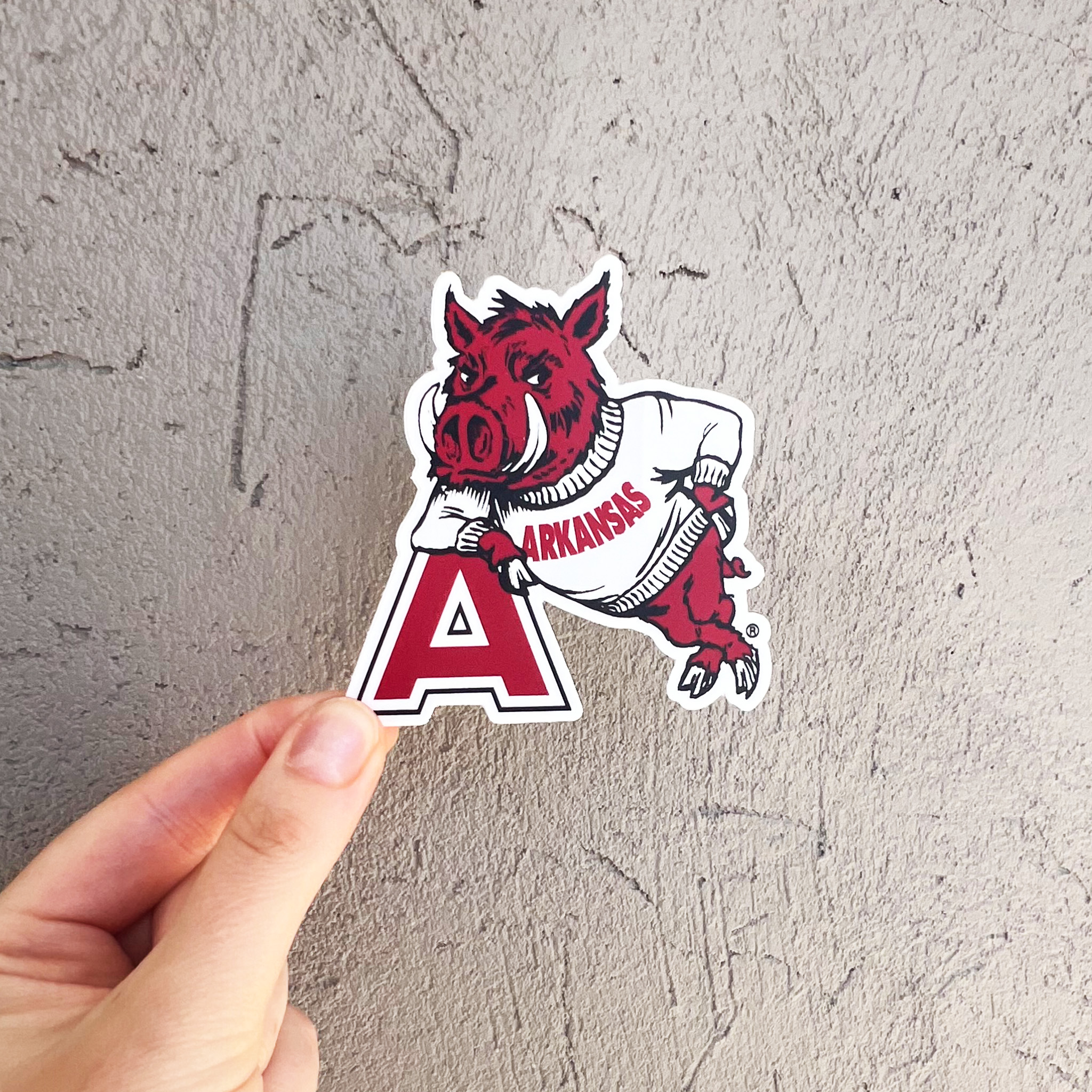 Hog Leaning on A Sticker